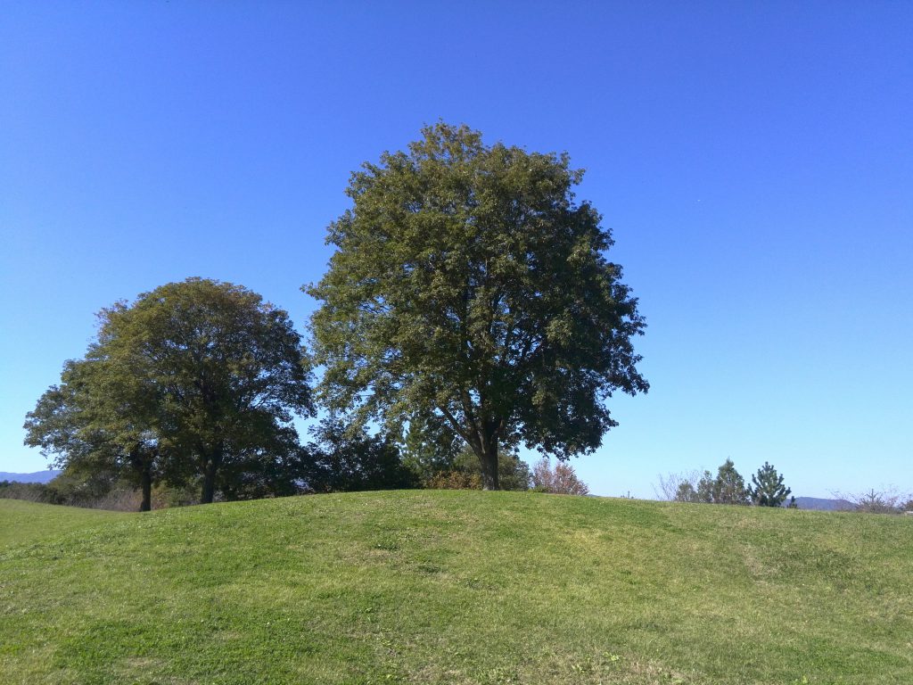 上野森林公園